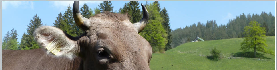 Herzlich willkommen in der Ferienwohnung Siegert
