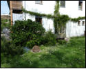 der Garten